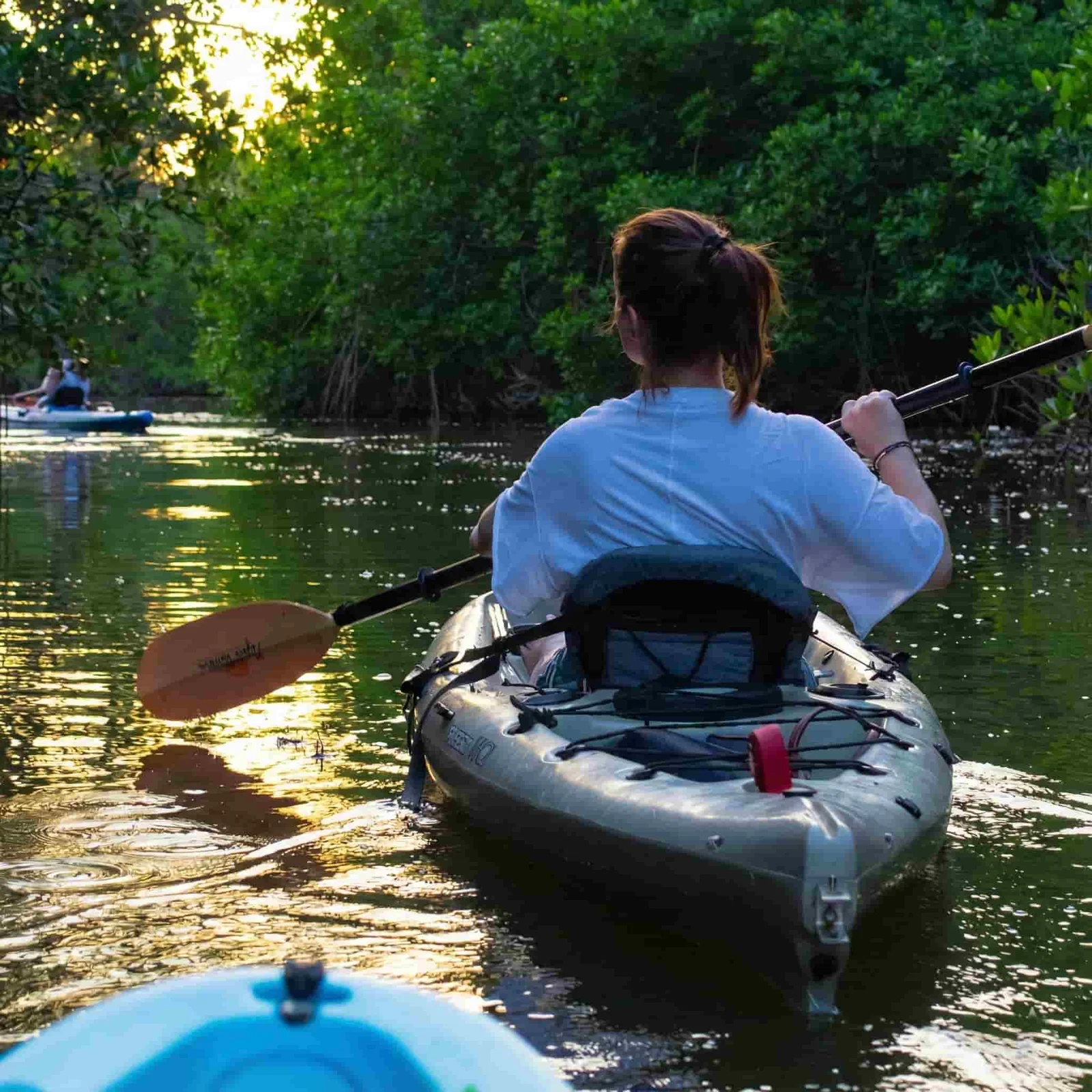 Kayak en los manglares de Manialtepec