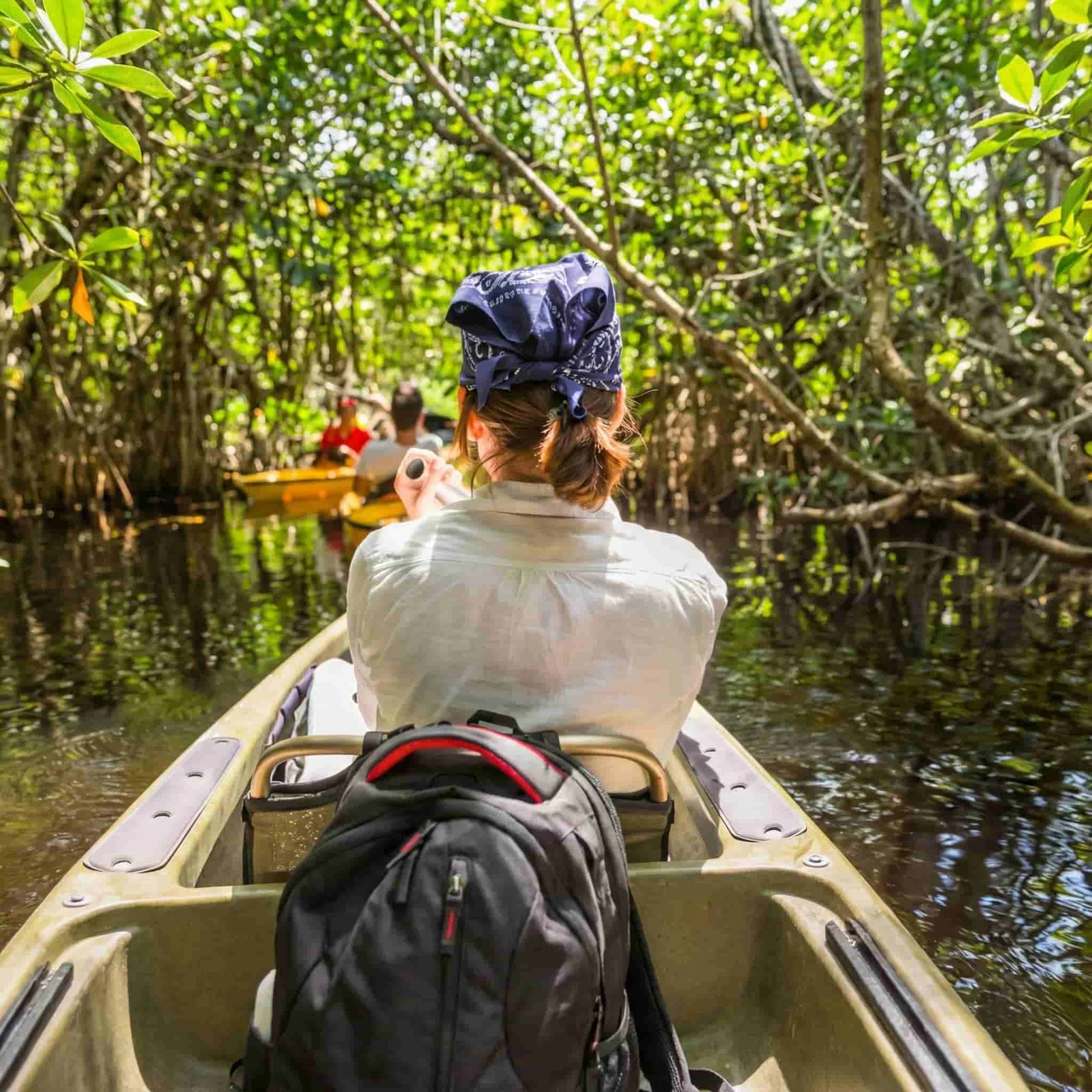 Kayak navegando por canales de manglar en la Laguna de Manialtepec, Oaxaca