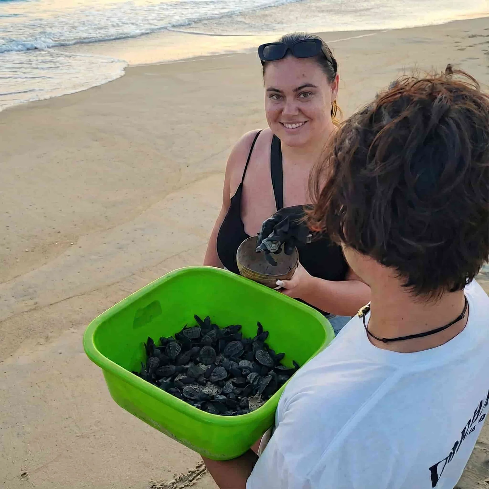 Integración de tortugas marinas en el Pacífico